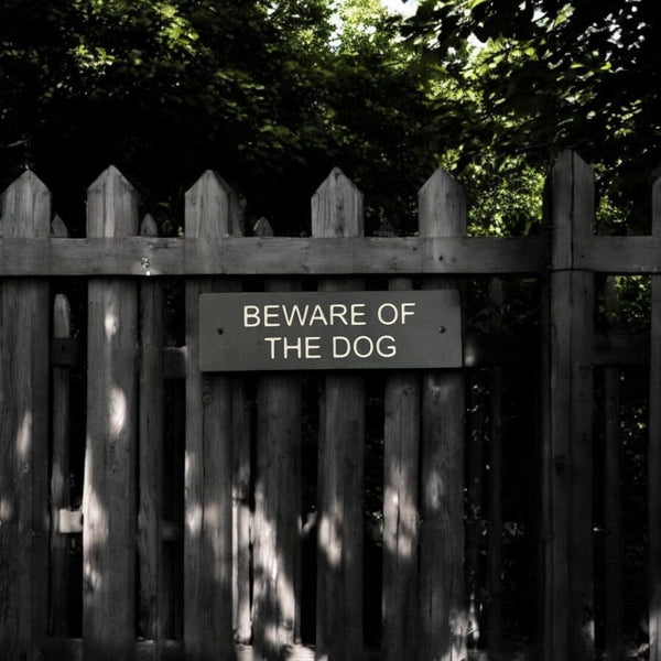 A Beware Of The Dog Gate Sign made in Natural Slate with polished edges and hard-wearing carved lettering www.HouseSign.co.uk