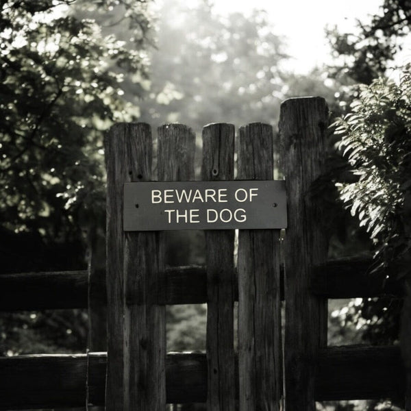 A Beware Of The Dog Gate Sign made in Natural Slate with polished edges and hard-wearing carved lettering www.HouseSign.co.uk