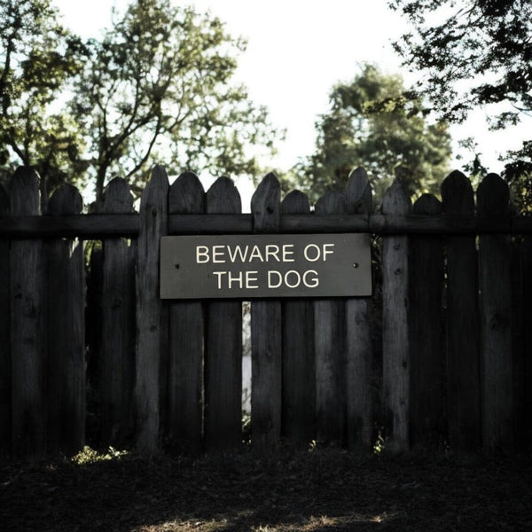 A Beware Of The Dog Gate Sign made in Natural Slate with polished edges and hard-wearing carved lettering www.HouseSign.co.uk